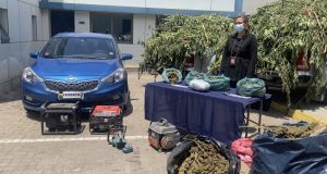 PDI realiza tercera incautación masiva de cannabis en Los Vilos durante el 2023