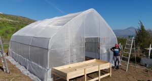 Agricultores de Zonas Rezagadas cuentan con asistencia técnica de INIA Intihuasi en cultivos hidropónicos