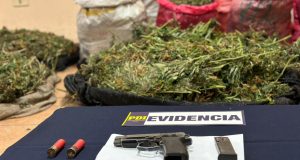 <strong>PDI INCAUTA 107 KILOS DE CANNABIS EN EL VALLE DEL QUILIMARÍ</strong>