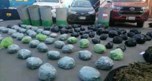 En Ovalle y Punitaqui la PDI desarticuló organización criminal con alto poder de fuego que producía y comercializaba cannabis.