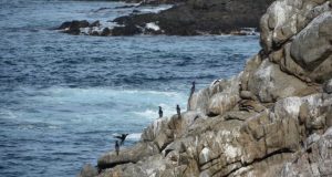 Temperaturas cálidas del mar anuncian la llegada del Fenómeno de El Niño en la Región de Coquimbo