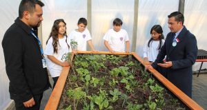 Impulsan proyecto de reforestación de árboles nativos en la escuela de Socos