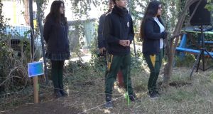Estudiantes llevan adelante Proyecto “Lupino”, innovación e investigación ambiental en la comuna de Monte Patria
