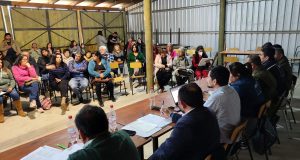 Valle del Quilimarí convocó a autoridades para plantear inquietudes en seguridad, salud y turismo