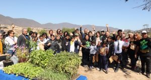 En el Culebrón de Coquimbo valoran proyecto de reforestación que ha dado vida a lugar abandonado