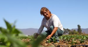 Agricultoras de Coquimbo y Atacama disponen de recursos mediante segundo concurso nacional de riego de la CNR exclusivo para mujeres