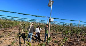 Productores agrícolas comparten estrategias para salir adelante en un escenario de escasez hídrica