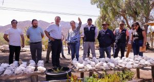 Ministro de Agricultura inauguró packing de cooperativa ovallina y visitó a usuarios de INDAP de Choapa