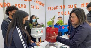 55 colegios de la región podrán desarrollar proyectos de innovación con «Protagonistas del cambio 2024»