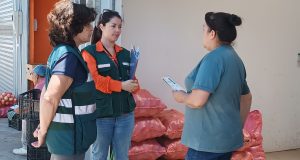 Realizan llamado a adquirir frutas en centros establecidos de Ovalle para evitar propagación de Mosca de la Fruta.