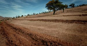 INDAP abrirá próximamente un llamado a concurso de su programa enfocado en la recuperación o mantención de los suelos agropecuarios