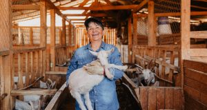 Productora caprina Juana Pérez: “Yo no digo que tengo cabras, yo me refiero a ellas como «mis patronas».