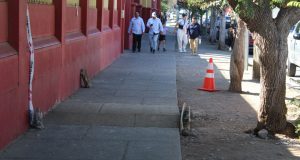 Municipio de Ovalle está realizando obras de mejoramiento vial previo al inicio de clases.