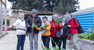 La fuerza de las ideas mueve: Abren las postulaciones al Fondo de Fortalecimiento de Organizaciones de Interés Público 2024.