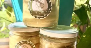 Joven produce alcachofas y sus derivados en el sector rural de Ovalle y ha contado con el apoyo de Indap.