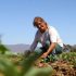 Para las regiones de Coquimbo y Atacama, CNR dispone recursos por $3 mil millones para apoyar el desarrollo del riego de las y los pequeños agricultores.