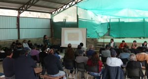 Alcalde de Monte Patria solicita a GORE y Minagri plan de acción frente a pérdidas económicas por “Mosca de la Fruta”