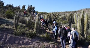 En Ovalle Trekking Familiar Nocturno reunirá a la comunidad ovallina en una experiencia deportiva única este sábado 9 de agosto.