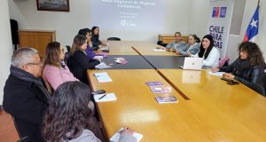 Se conforma Mesa de Mujeres Cuidadoras No Remuneradas de la Región de Coquimbo.