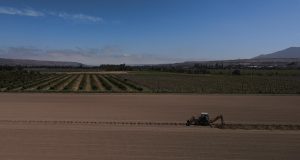 Agricultor de Ovalle optimizará el agua para sus cultivos mediante innovador sistema de riego subterráneo bonificado por la CNR
