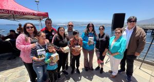 En la comuna de Los Vilos con Show pirotécnico, música en vivo y grandes artistas darán la bienvenida al Año Nuevo 2026.