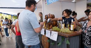 En Ovalle la Fiesta de la Vendimia se realizará el 28 de febrero y 1 de marzo.