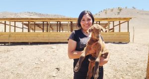 Lucy Adaos, joven rural de Río Hurtado decidió quedarse en el campo y construir su futuro en él contando con el apoyo del Instituto de Desarrollo Agropecuario (INDAP)
