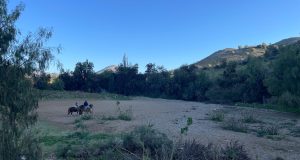 Delegación Presidencial de Limarí anuncia querella en causas por robos en predios agrícolas.