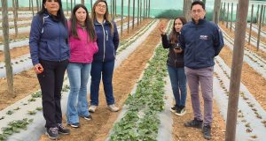 Recorridos por Media Luna y Manquehua permiten a dirigencia de INDAP destacar el trabajo del Mundo Rural combarbalino