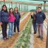 Recorridos por Media Luna y Manquehua permiten a dirigencia de INDAP destacar el trabajo del Mundo Rural combarbalino
