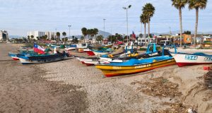 Cuarta entrega del Cupón Pesca Artesanal beneficia a más de 500 pescadores de la Región de Coquimbo.